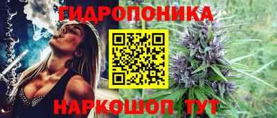 ешки Рязань