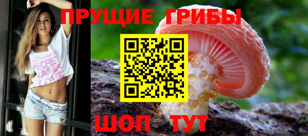 Псилоцибиновые грибы MAGIC MUSHROOMS  Галлюциногенные грибы прущие грибы  Вход с VPN  Октябрьский 